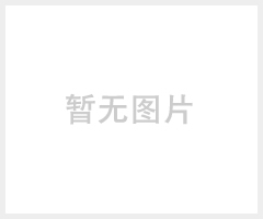 婚禮樂隊(duì)